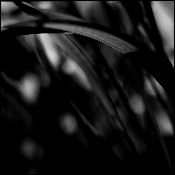 雷維史達-TimeExtension 雷維史達-Richie Goods Karriem Riggins 60x50cm